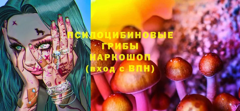 купить закладку  Верхний Тагил  Псилоцибиновые грибы Magic Shrooms 